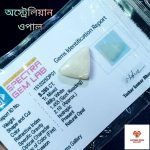 Australian Opal/ অস্ট্রেলিয়ান ওপেল - Image 2
