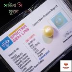 South Sea Pearl/সামুদ্রিক মুক্তা - Image 4