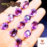 Brazilian Amethyst/পদ্মনীলা - Image 2