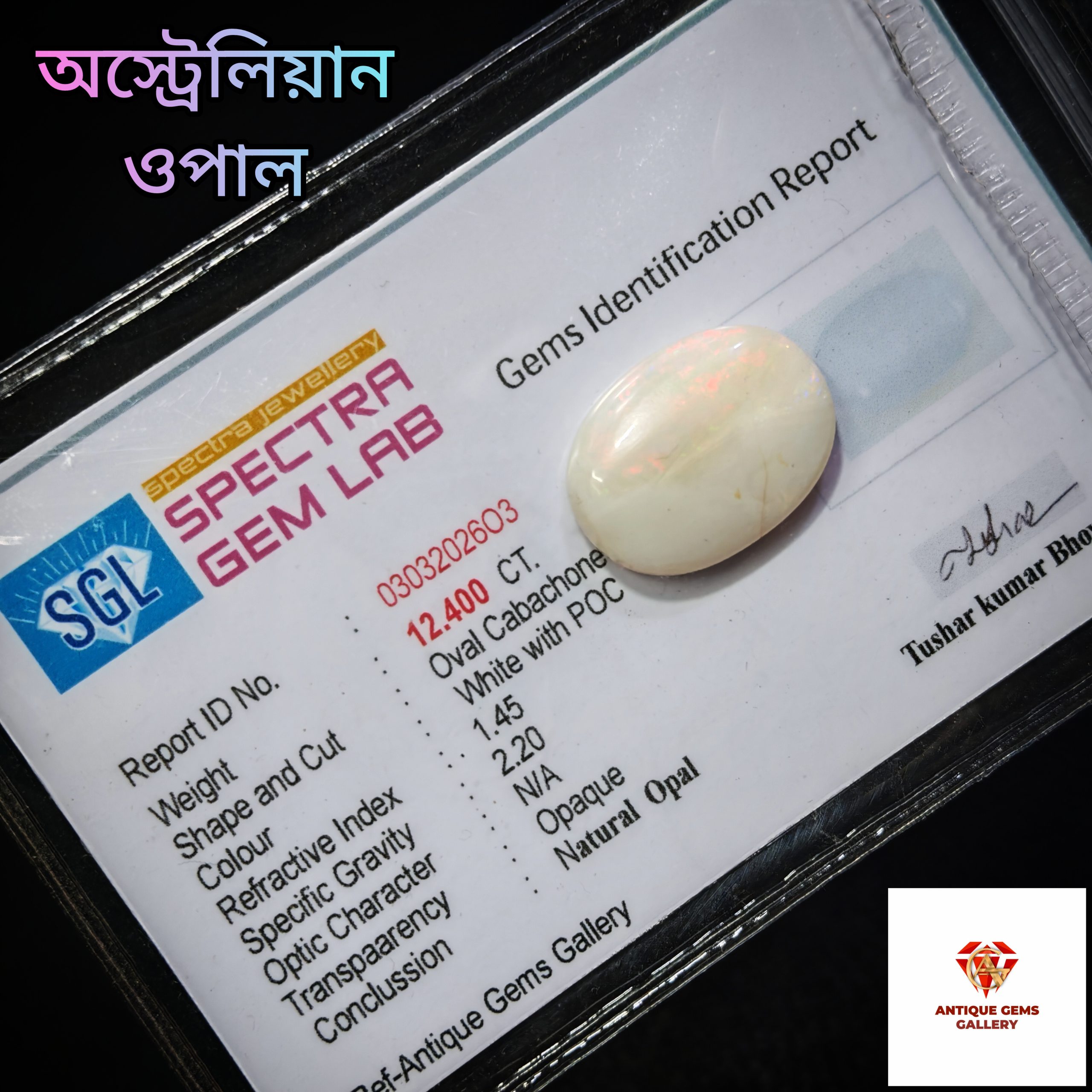 InShot_20260312_002032927 Australian Opal/অস্ট্রেলিয়ান ওপেল - Image 1