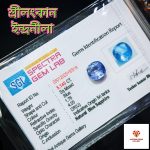 Blue Sapphire/ ইন্দ্রনীলা - Image 5
