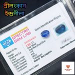 Blue Sapphire/ ইন্দ্রনীলা - Image 3