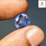 Blue Sapphire/ ইন্দ্রনীলা - Image 2