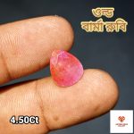 Burma Ruby /বার্মিজ রুবি