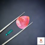 Burma Ruby /বার্মিজ রুবি - Image 2