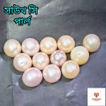 South Sea Pearl/সামুদ্রিক মুক্তা - Image 2