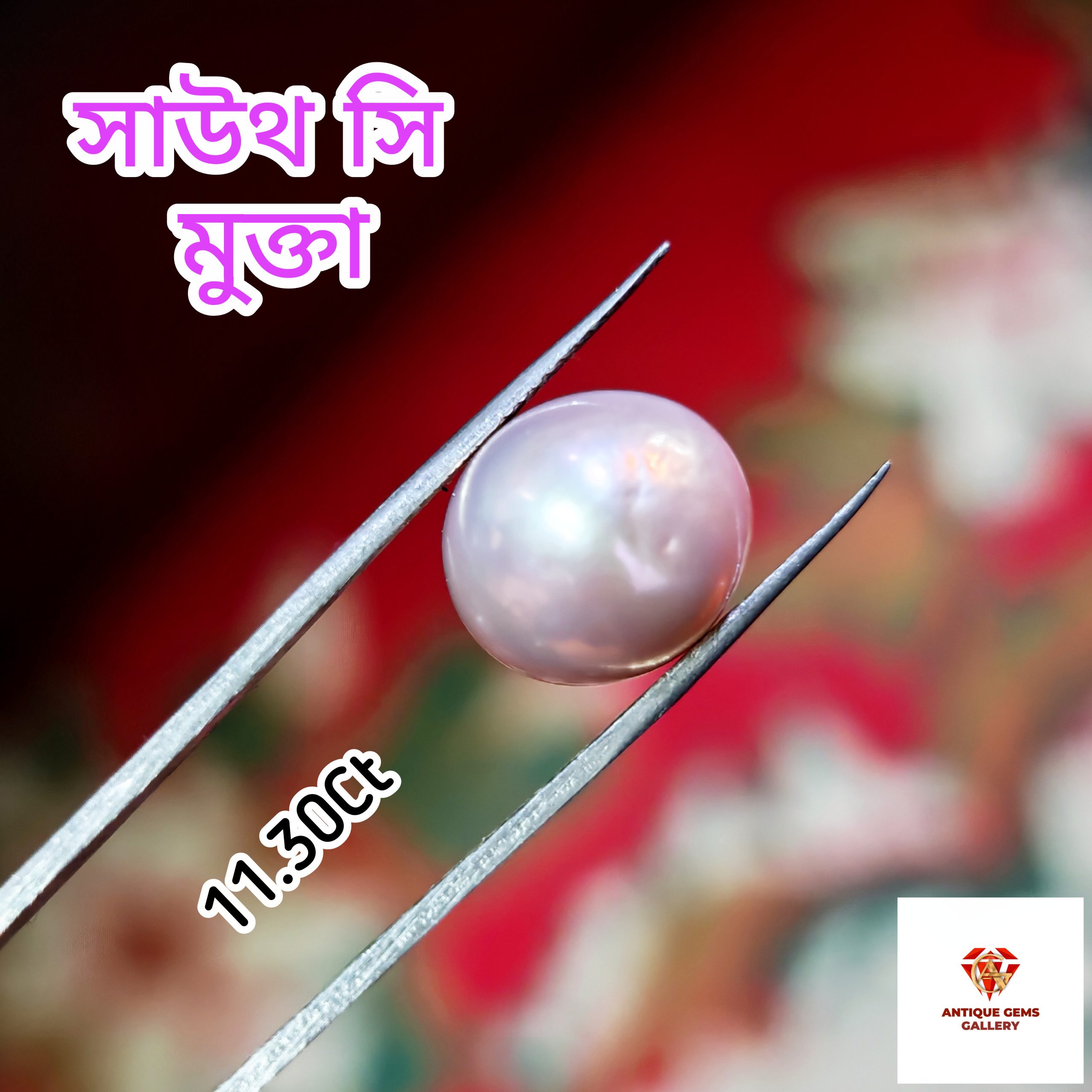 InShot_20260618_201035711 South Sea Pearl/সামুদ্রিক মুক্তা - Image 1