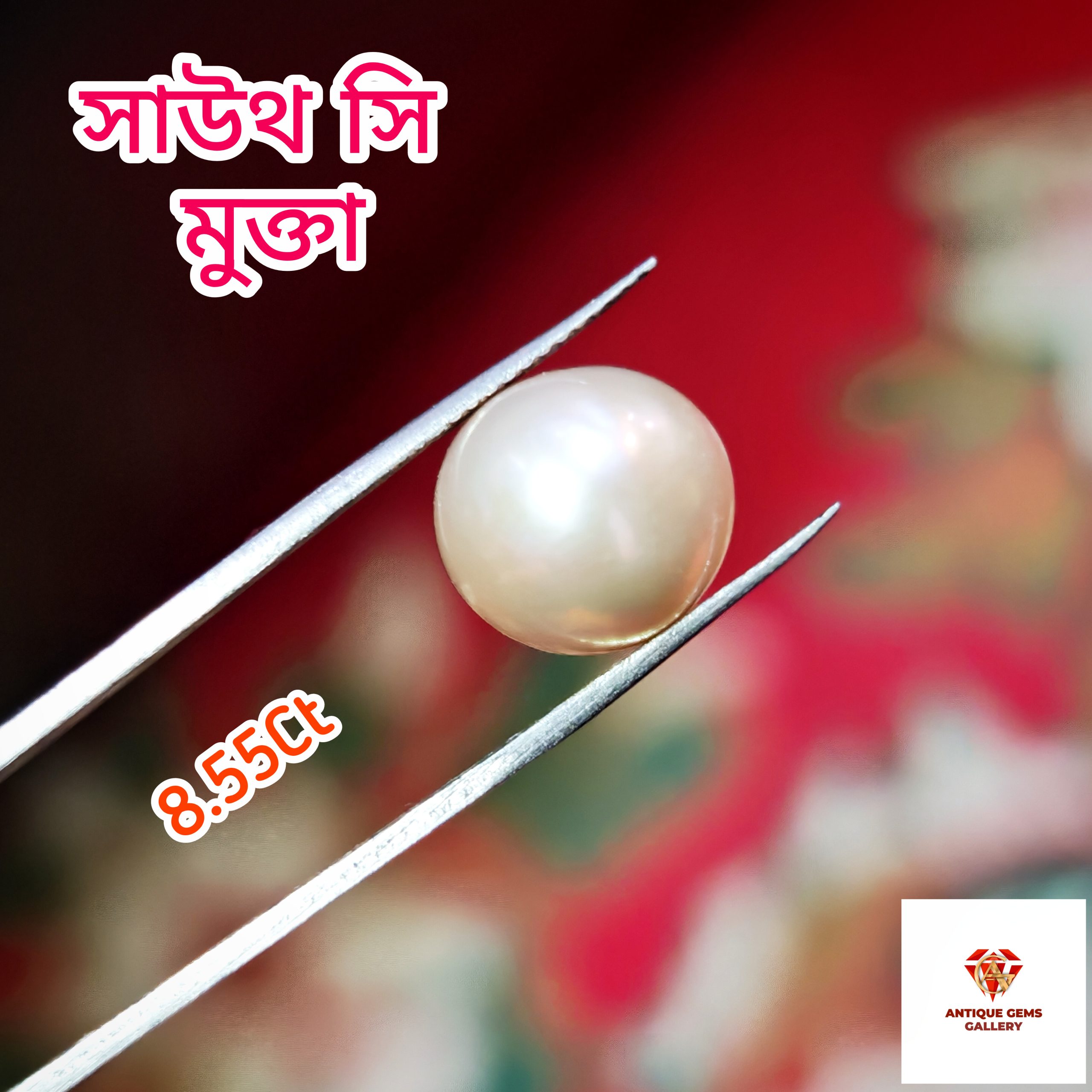 InShot_20260618_201342776 South Sea Pearl/সামুদ্রিক মুক্তা - Image 1
