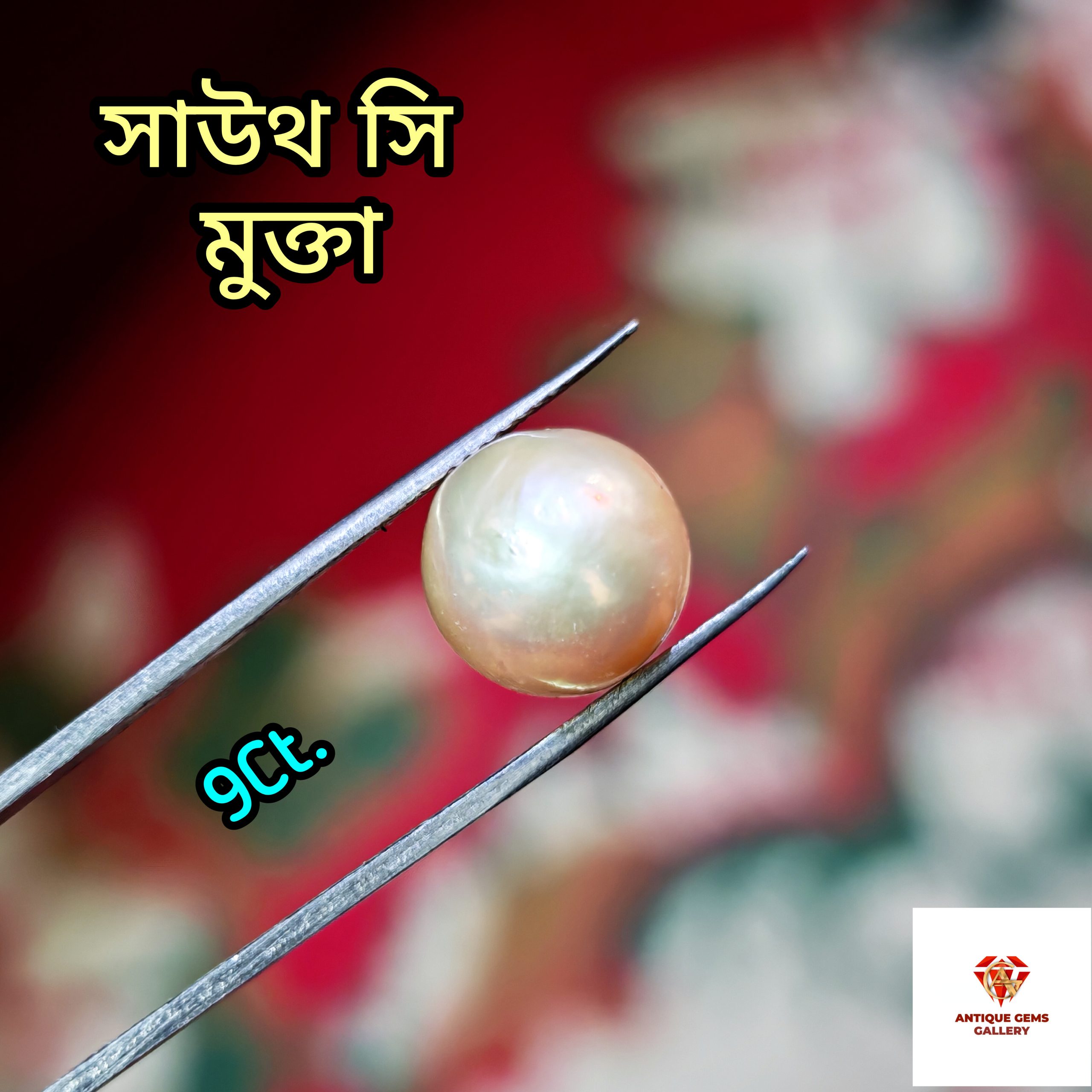 InShot_20260618_202038197 South Sea Pearl/সামুদ্রিক মুক্তা - Image 1