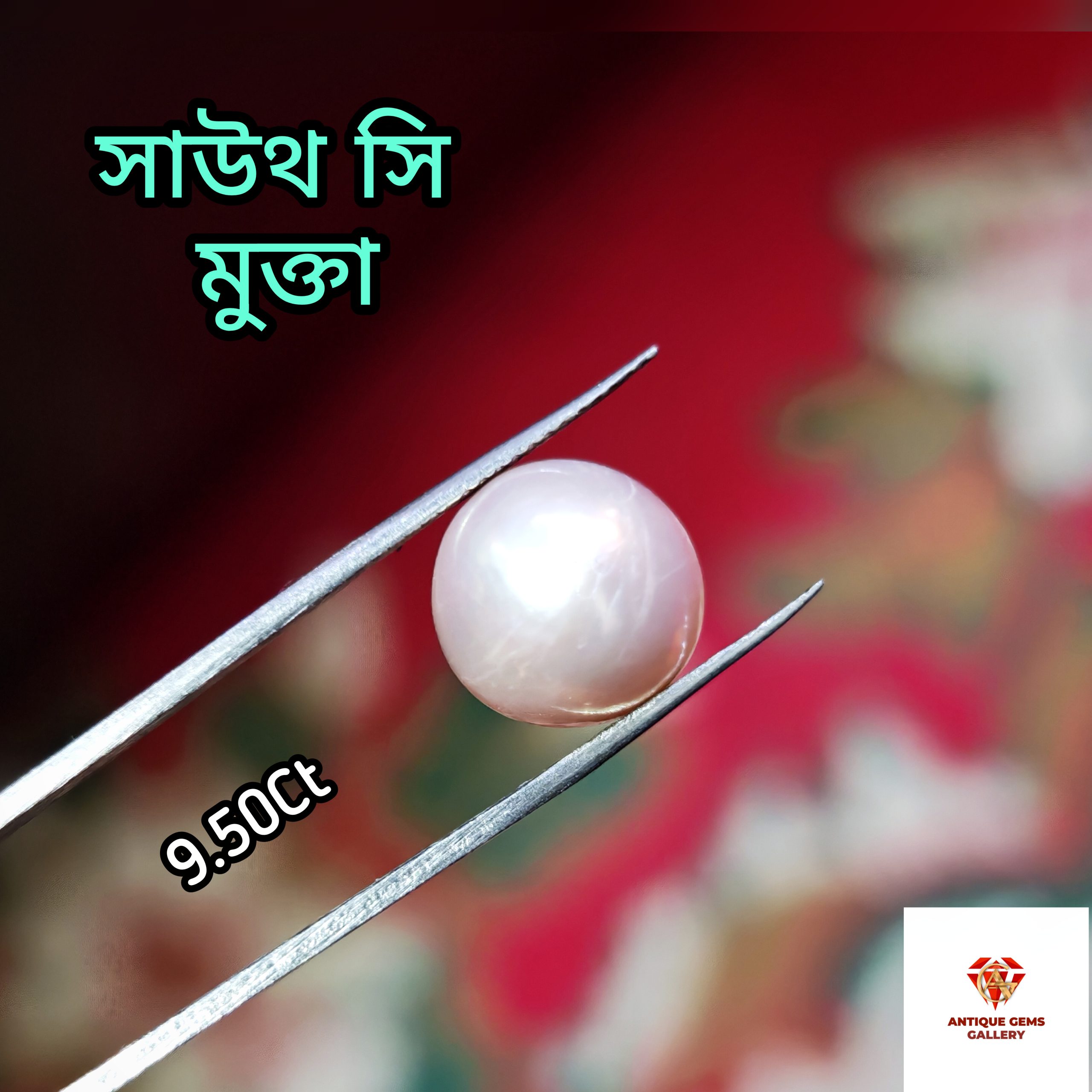 InShot_20260618_202505511 South Sea Pearl/সামুদ্রিক মুক্তা - Image 1