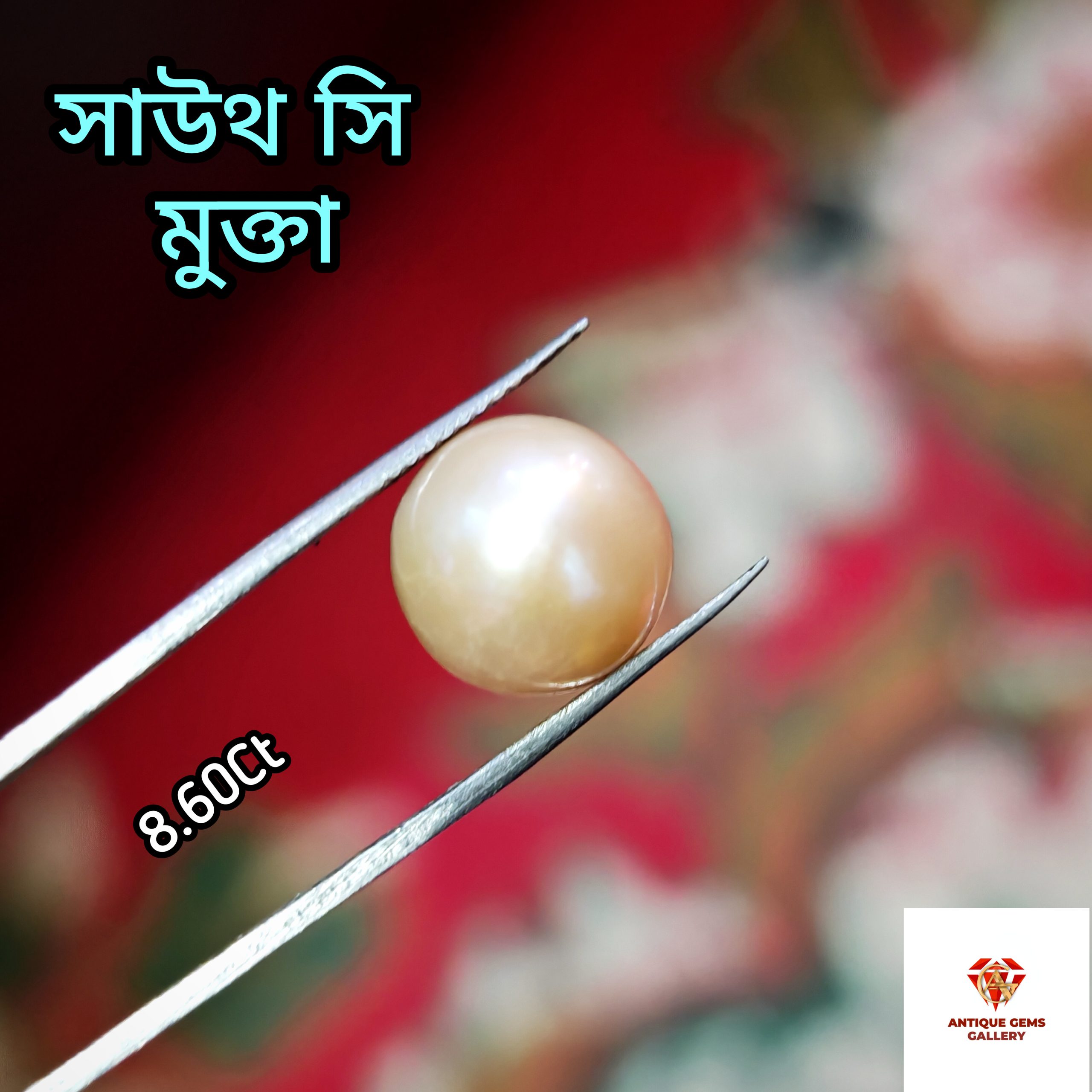 InShot_20260618_204439715 South Sea Pearl/সামুদ্রিক মুক্তা - Image 1