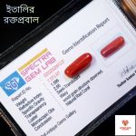 Italian Red Coral/রক্তপ্রবাল