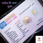 South Sea Pearl/সামুদ্রিক মুক্তা - Image 7