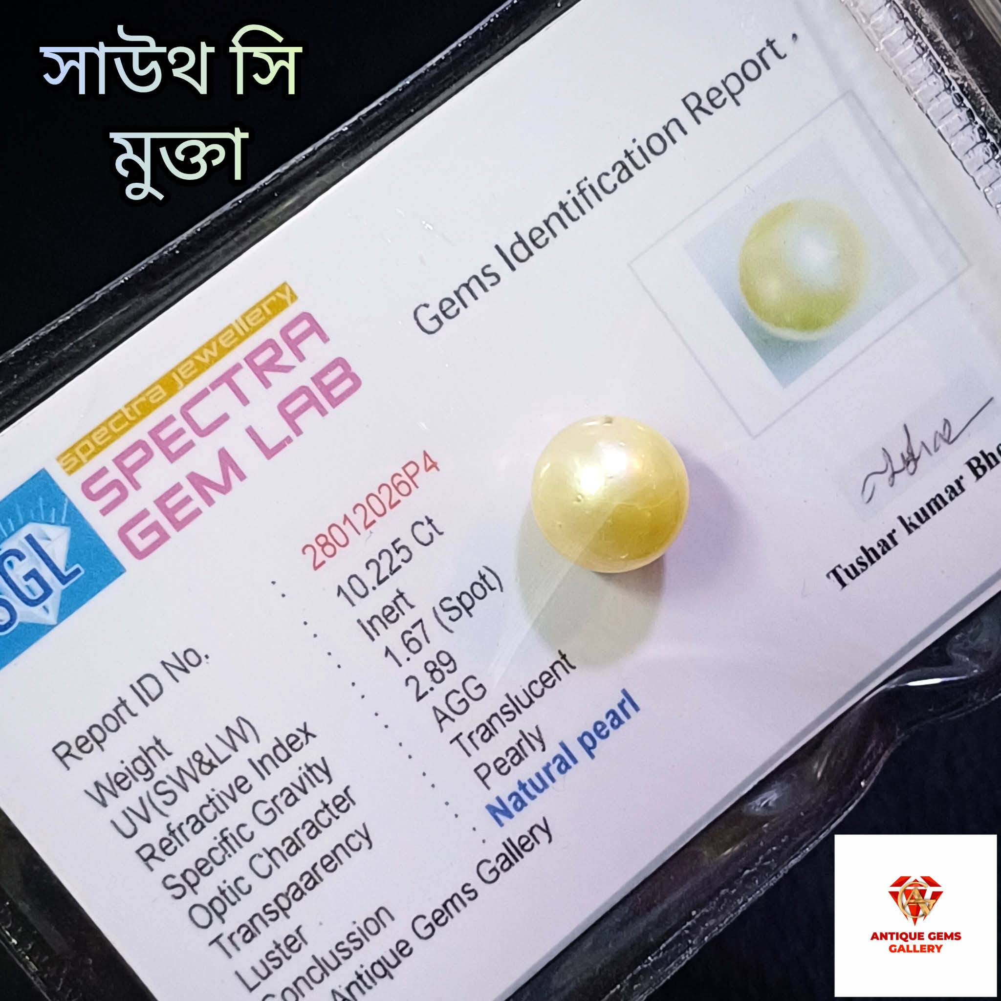 received_1402329055252123 South Sea Pearl/ সামুদ্রিক মুক্তা - Image 1