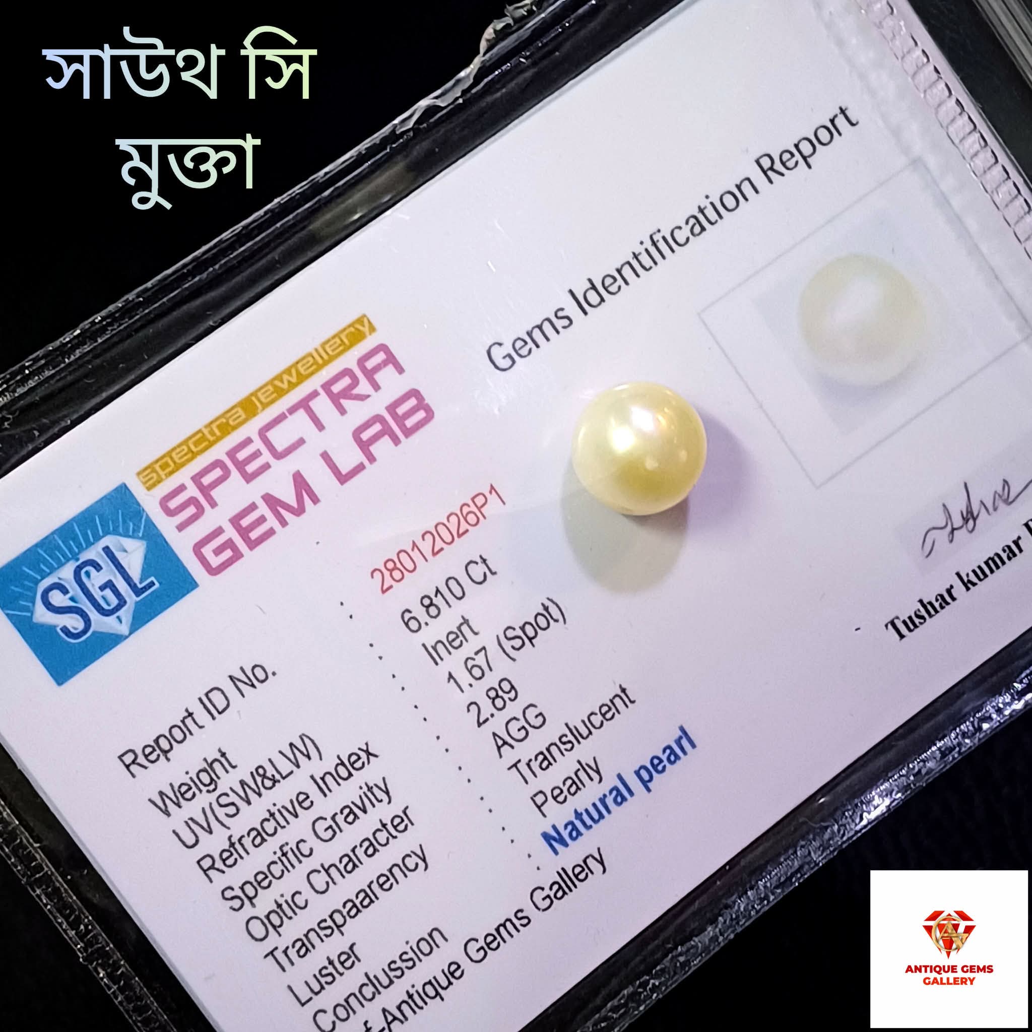 received_1426297872498992 South Sea Pearl/সামুদ্রিক মুক্তা - Image 1
