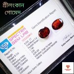 Srilankan Hessonite /সিলনী গোমেদ - Image 2