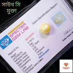 South Sea Pearl/সামুদ্রিক মুক্তা - Image 3