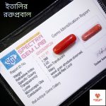 Italian Red Coral/রক্তপ্রবাল - Image 5