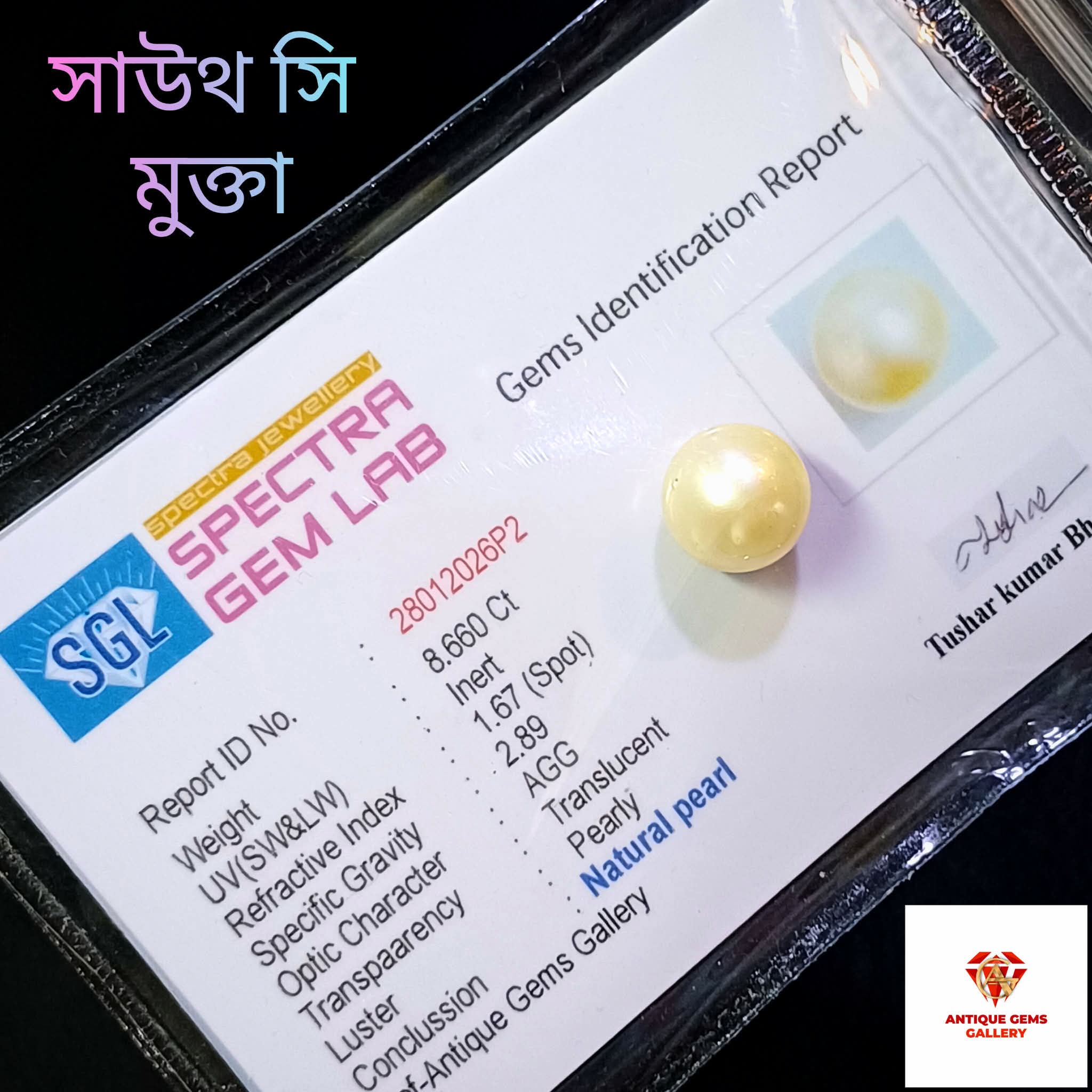 received_1623872885581055 South Sea Pearl/সামুদ্রিক মুক্তা - Image 1
