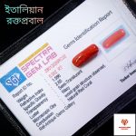 Italian Red Coral/রক্তপ্রবাল - Image 5