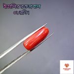 Italian Red Coral/ রক্তপ্রবাল - Image 2