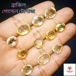 ব্রাজিলিয়ান গোল্ডেন টোপাজ।