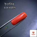 Italian Red Coral/ রক্তপ্রবাল