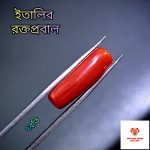 Italian Red Coral/রক্তপ্রবাল - Image 3