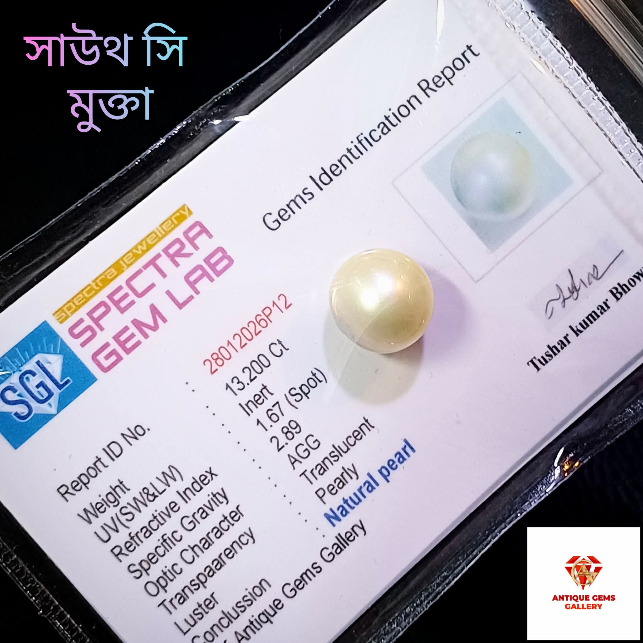 received_2747957525583839 South Sea Pearl/সামুদ্রিক মুক্তা - Image 1