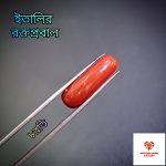 Italian Red Coral/ রক্তপ্রবাল - Image 3