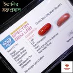 Italian Red Coral/রক্তপ্রবাল - Image 3