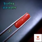 Italian Red Coral/রক্তপ্রবাল - Image 2