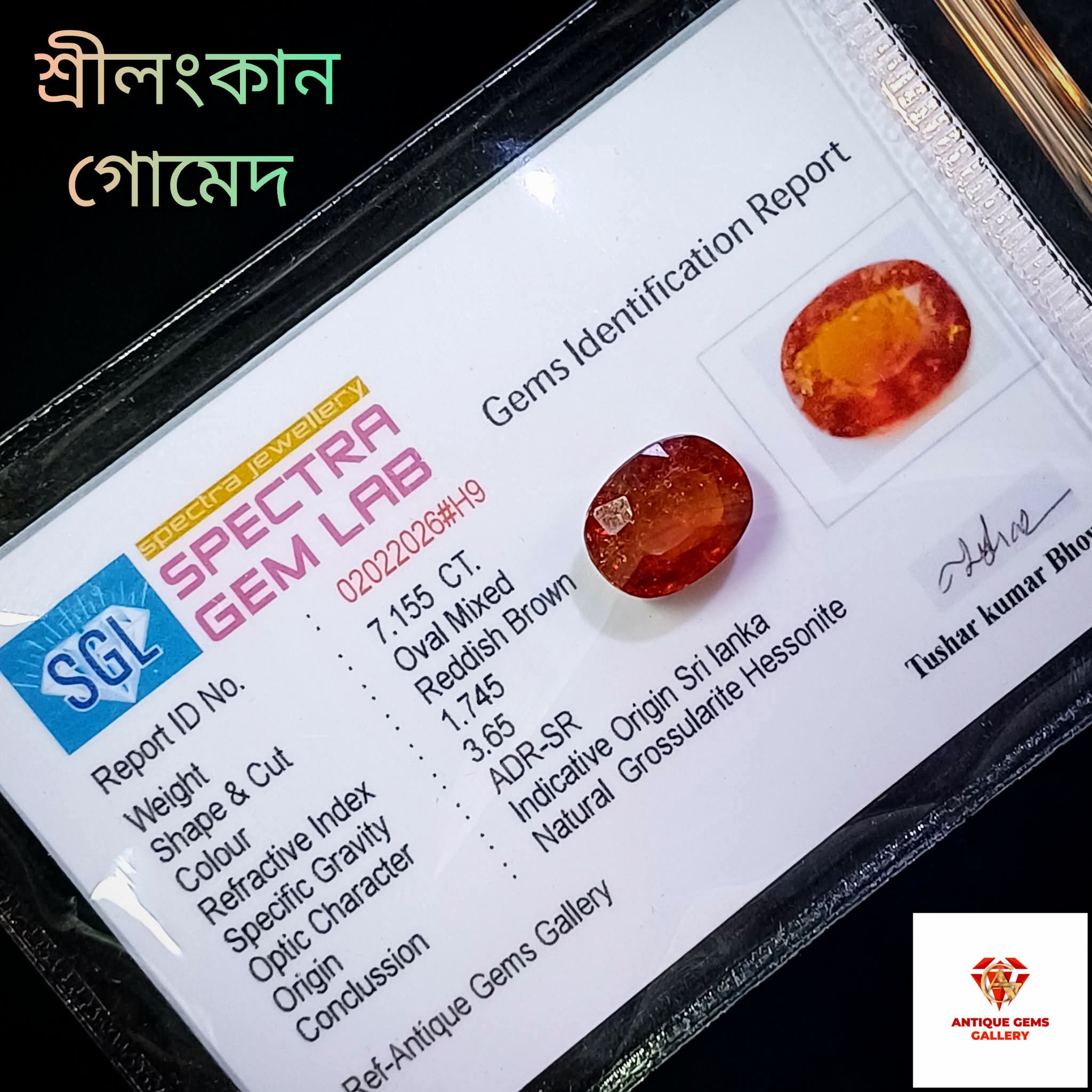 received_4481497852175466 Srilankan Hessonite/সিলনী গোনেদ - Image 1