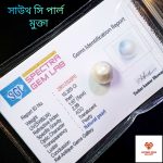 South Sea Pearl/সামুদ্রিক মুক্তা - Image 6