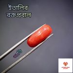 Italian Red Coral/রক্তপ্রবাল