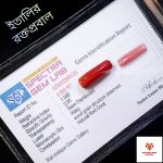 Italian Red Coral/রক্তপ্রবাল - Image 2